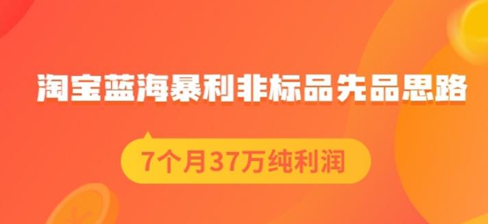 盗坤淘宝蓝海暴利非标品先品思路，7个月37万纯利润，压箱干货分享！【付费文章】-展望网