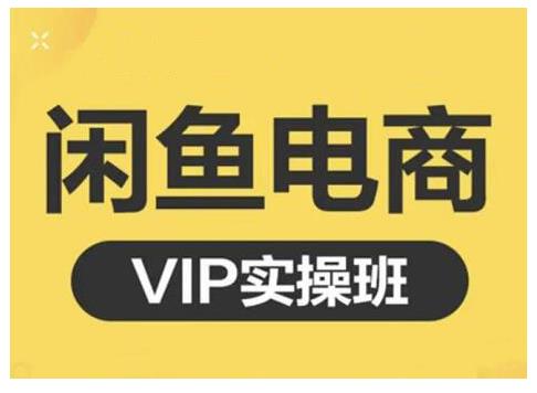 闲鱼电商零基础入门到进阶VIP实战课程，帮助你掌握闲鱼电商所需的各项技能-展望网