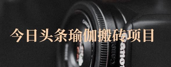 猎人社区·今日头条瑜伽搬砖项目,单号一天几十收入,可以批量操作!-展望网