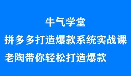 牛气学堂拼多多打造爆款系统实战课,老陶带你轻松打造爆款-展望网