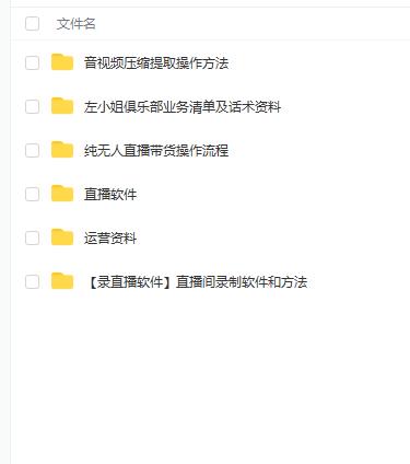 左小姐-直播带货俱乐部十三行、无人直播，全套教程附：工具、文档、话术资料-展望网