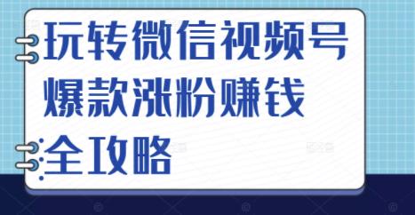 玩转微信视频号爆款涨粉赚钱全攻略,让你快速抓住流量风口,收获红利财富-展望网