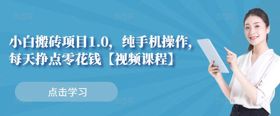 小白搬砖项目1.0，纯手机操作，每天兼职挣点零花钱-展望网