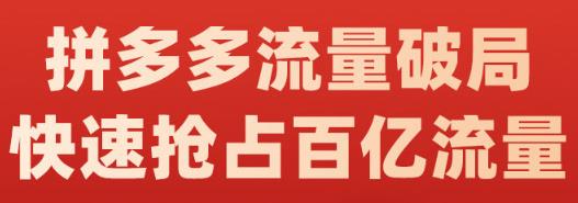 阿杰·拼多多流量破局:如何打黑标,爆款的思路,拼多多流量框架,快速抢占百亿流量-展望网