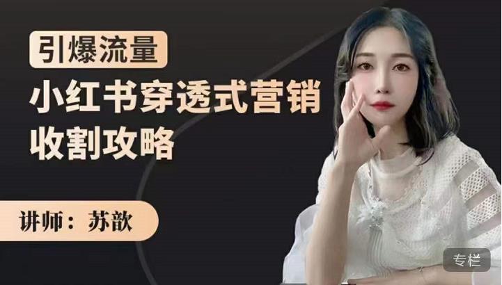 小红书穿透式营销收割攻略，引爆流量，助你玩转小红书-展望网