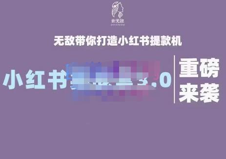 谢无敌·小红书实战营3.0，无敌带你打造小红书提款机 价值7999元-展望网