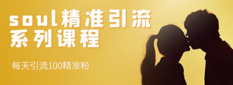 soul精准引流系列课程,每天引流100精准粉-展望网