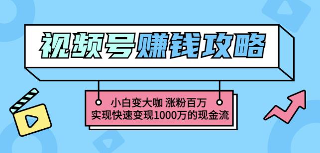 玩转微信视频号赚钱：小白变大咖涨粉百万实现快速变现1000万的现金流-展望网