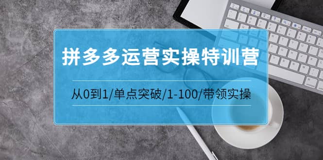 拼多多运营实操特训营:从0到1/单点突破/1-100/带领实操 价值2980元-展望网
