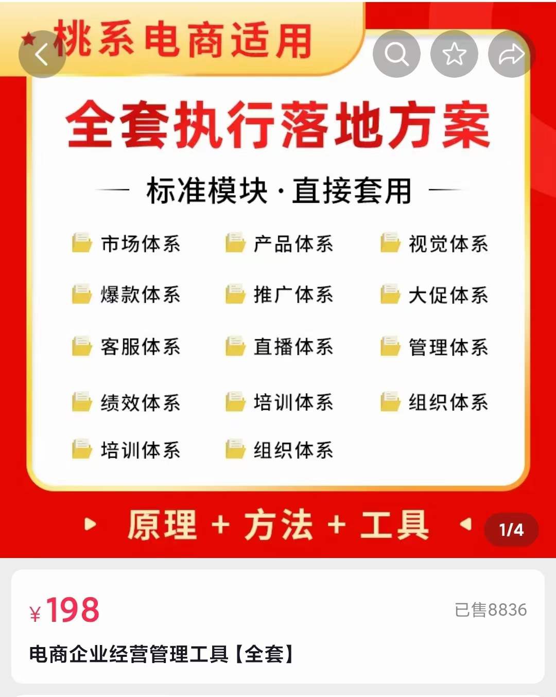 外面卖198·电商企业经营管理工具:全套执行落地方案 标准模块·直接套用-展望网