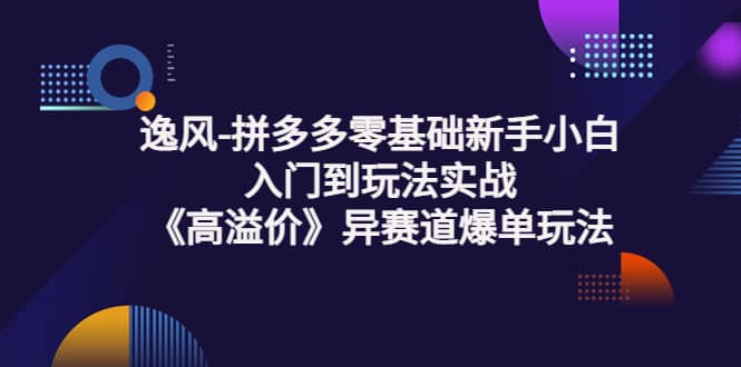 拼多多零基础新手小白入门到玩法实战《高溢价》异赛道爆单玩法实操课-展望网