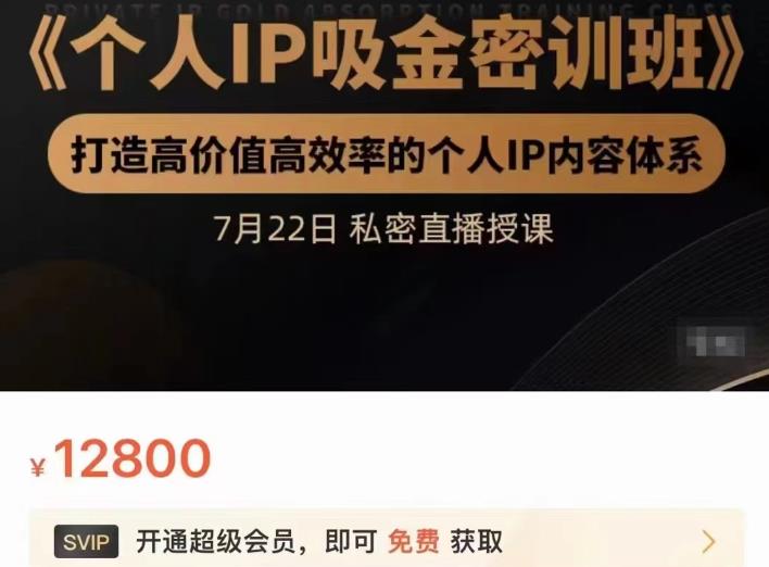 个人IP吸金密训班，打造高价值高效率的个人IP内容体系（价值12800元）-展望网