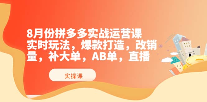 8月份拼多多实战运营课，实时玩法，爆款打造，改销量，补大单，AB单，直播-展望网