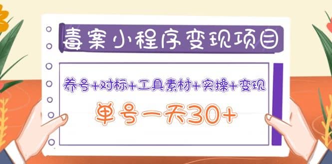 毒案小程序变现项目：养号 对标 工具素材 实操 变现-展望网