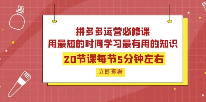 拼多多运营必修课：20节课每节5分钟左右，用最短的时间学习最有用的知识-展望网