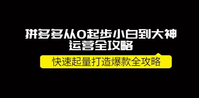 拼多多从0起步小白到大神运营全攻略-展望网