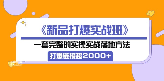 《新品打爆实战班》一套完整的实操实战落地方法，打爆链接超2000 （38节课)-展望网
