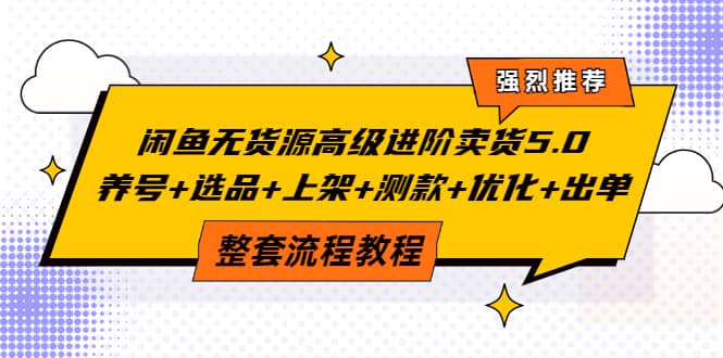 闲鱼无货源高级进阶卖货5.0，养号 选品 上架 测款 优化 出单整套流程教程-展望网