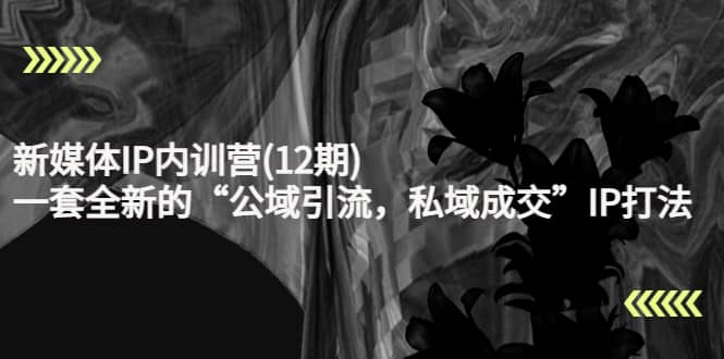 新媒体IP内训营(12期),一套全新的“公域引流,私域成交”IP打法,直接带走-展望网