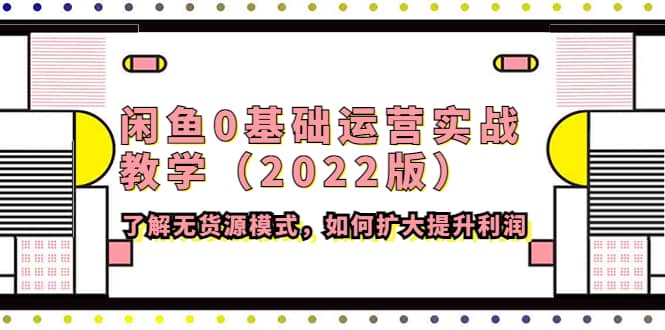 闲鱼0基础运营实战教学（2022版）了解无货源模式，如何扩大提升利润-展望网