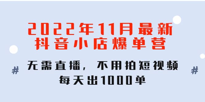 2022年11月最新抖音小店爆单训练营：无需直播，不用拍短视频，每天出1000单-展望网