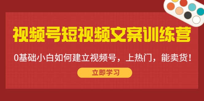 视频号短视频文案训练营：0基础小白如何建立视频号，上热门，能卖货！-展望网