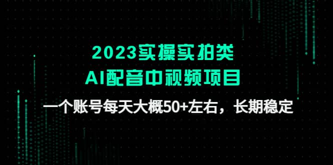 2023实操实拍类AI配音中视频项目，一个账号每天大概50 左右，长期稳定-展望网