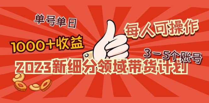 2023新细分领域带货计划:单号单日1000 收益不难,每人可操作3-5个账号-展望网