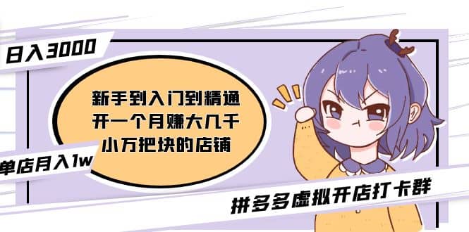 拼多多虚拟开店打卡群：新手到入门到精通-展望网