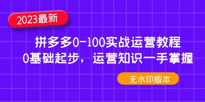 2023拼多多0-100实战运营教程，0基础起步，运营知识一手掌握（无水印）-展望网