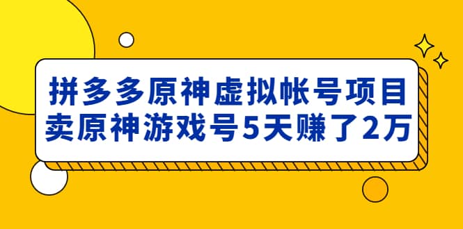 外面卖2980的拼多多原神虚拟帐号项目-展望网
