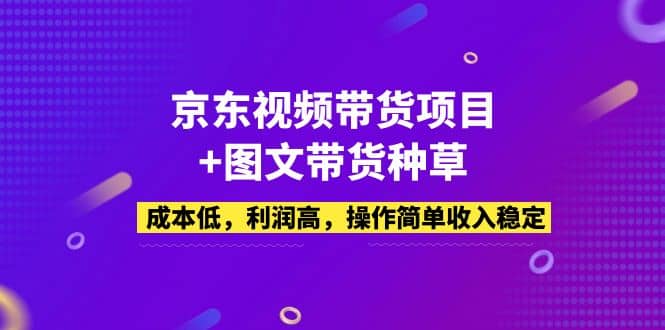 京东视频带货项目 图文带货种草,成本低,利润高,操作简单收入稳定-展望网