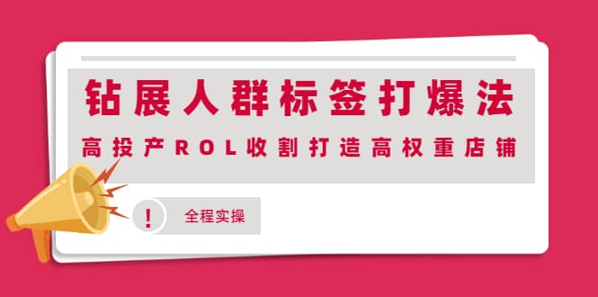钻展人群标签打爆法，高投产ROL收割打造高权重店铺(全程实操)-展望网
