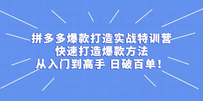 拼多多爆款打造实战特训营：快速打造爆款方法，从入门到高手 日破百单-展望网