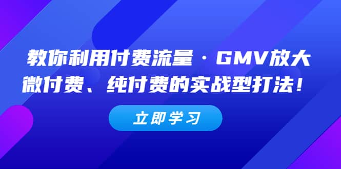 教你利用付费流量·GMV放大，微付费、纯付费的实战型打法-展望网