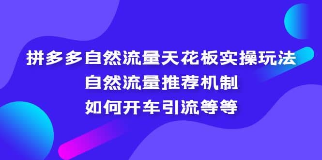 拼多多自然流量天花板实操玩法：自然流量推荐机制，如何开车引流等等-展望网