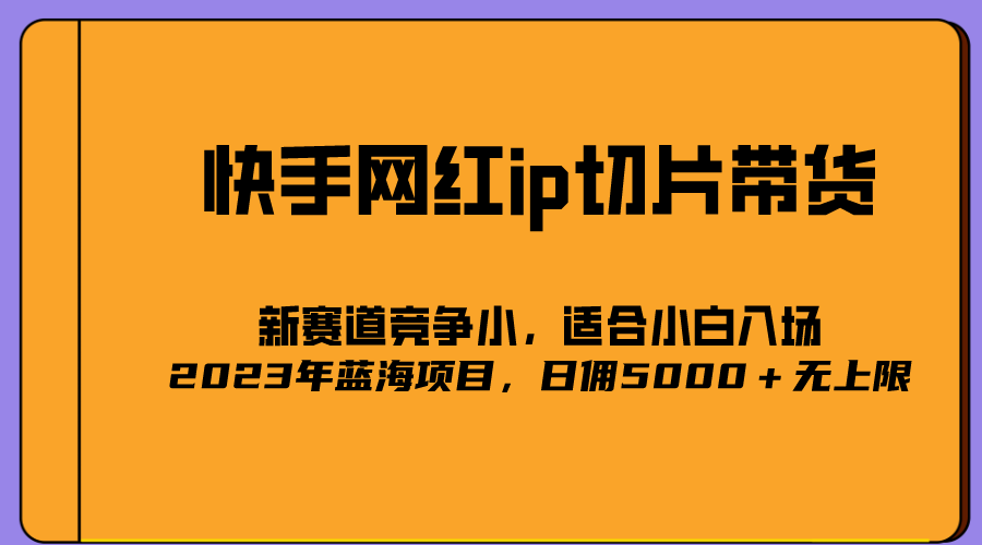 2023爆火的快手网红IP切片，号称日佣5000＋的蓝海项目，二驴的独家授权-展望网