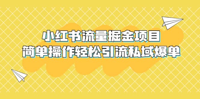 外面收费398小红书流量掘金项目，简单操作轻松引流私域爆单-展望网