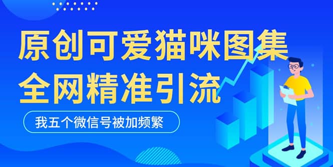 黑科技纯原创可爱猫咪图片,全网精准引流,实操5个VX号被加频繁-展望网