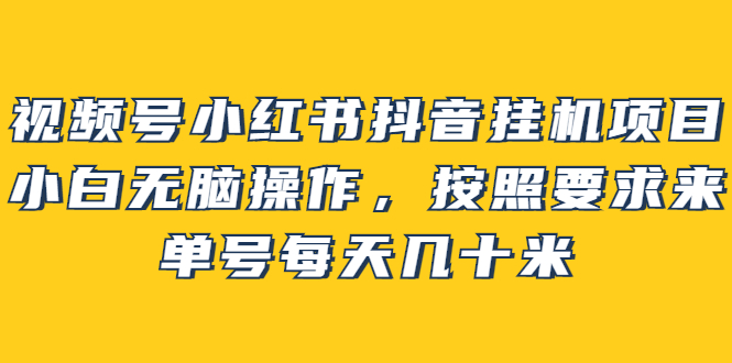 视频号小红书抖音挂机项目，小白无脑操作，按照要求来，单号每天几十米-展望网