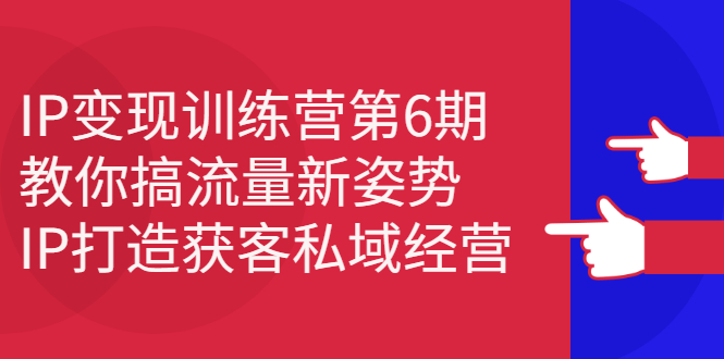 IP变现训练营第6期：教你搞流量新姿势，IP打造获客私域经营-展望网
