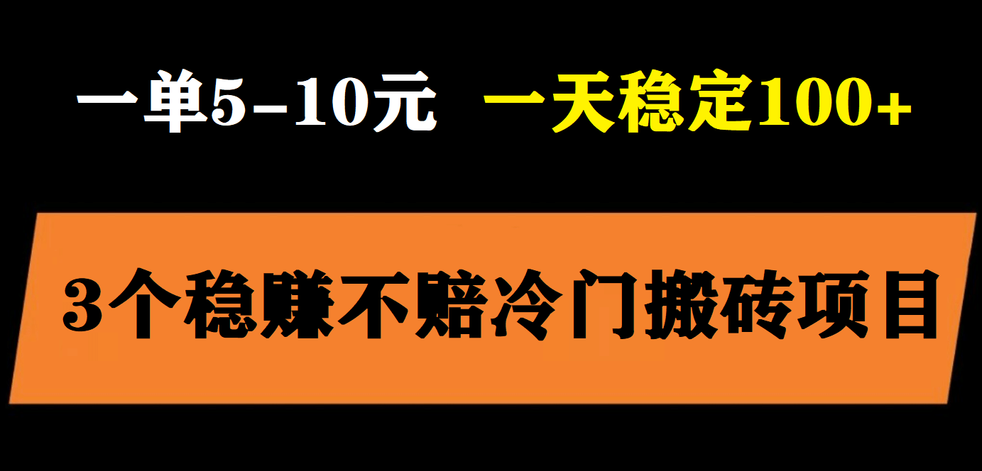 3个最新稳定的冷门搬砖项目，小白无脑照抄当日变现日入过百-展望网
