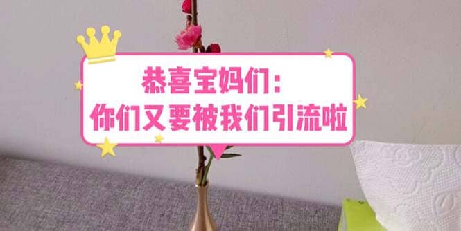 恭喜宝妈们：你们又要被我们引流了（教程 222g资料）-展望网