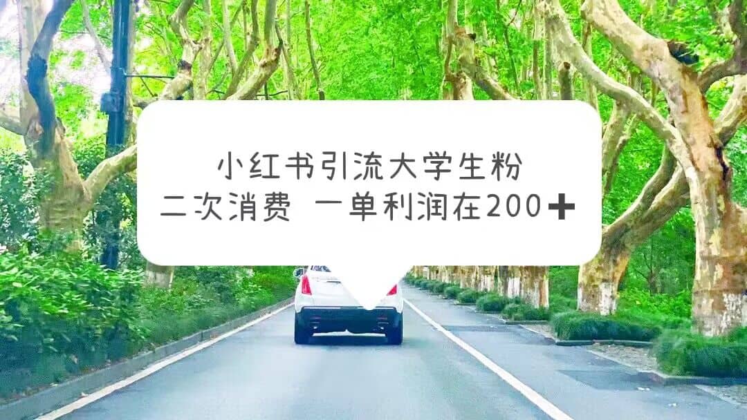 小红书引流大学生粉，变现项目，一单利润在200 （教程 资源）-展望网