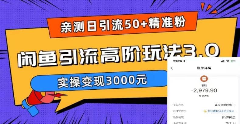 实测日引50 精准粉,闲鱼引流高阶玩法3.0,实操变现3000元-展望网