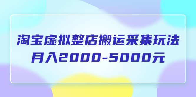 淘宝虚拟整店搬运采集玩法分享课：月入2000-5000元（5节课）-展望网