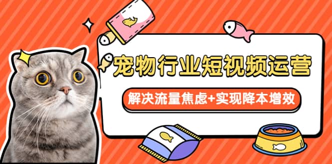 宠物/行业短视频运营 流量增长的一层窗户纸 解决流量焦虑 实现降本增效-展望网