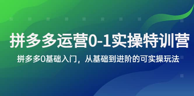 拼多多-运营0-1实操训练营，拼多多0基础入门，从基础到进阶的可实操玩法-展望网