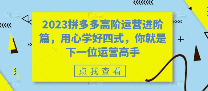 2023拼多多高阶运营进阶篇，用心学好四式，你就是下一位运营高手-展望网