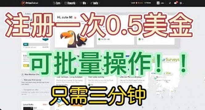 国外项目注册一次0.5美金 只需三分钟无脑操作 可批量放大 小白工作室福利-展望网